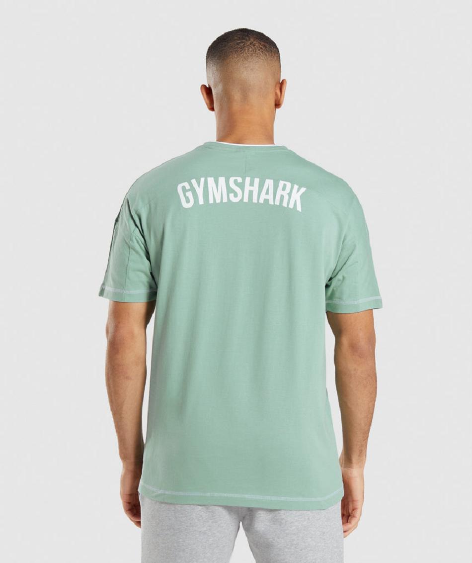 T Shirts Męskie Gymshark Recess Niebieskie Białe | PL 3857VRW